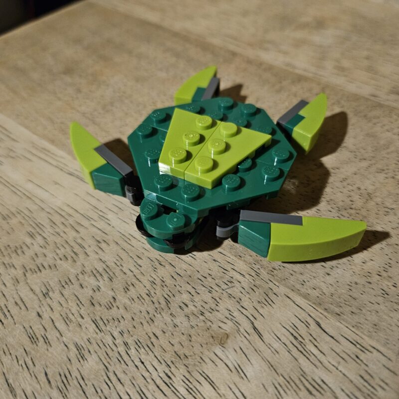 Turtle Build